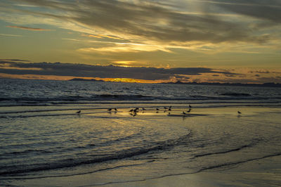 Scenic view of beach against sky during sunset