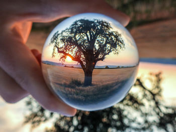 Close-up of human hand holding crystal ball