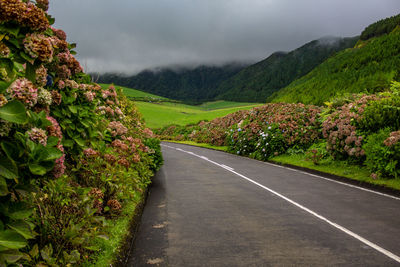 Road amidst plants and mountains against sky