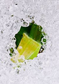 High angle view of ice cream in glass over water