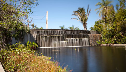 Plants growing by dam against sky