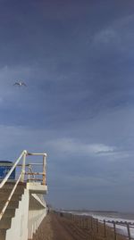 Bird flying over sea against sky