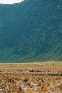 Scenic view of landscape