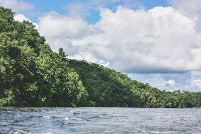 Scenic view of sea and trees against sky