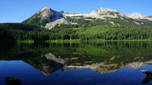 Reflection of trees in lake