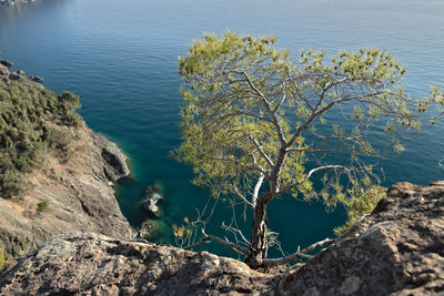 High angle view of rock by sea