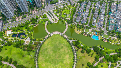 bird's-eye view