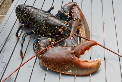 High angle view of crab on table