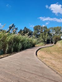 Footpath amidst trees against sky