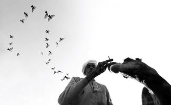 LOW ANGLE VIEW OF PEOPLE FLYING BIRDS AGAINST SKY AGAINST CLEAR ORANGE CLOUD