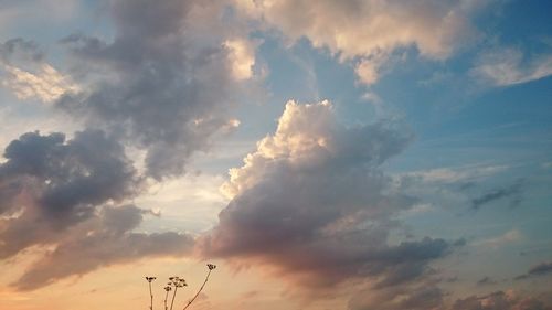 Low angle view of cloudy sky