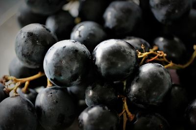 Close-up of grapes