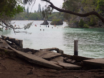 View of birds by lake