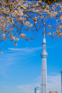 Low angle view of a building