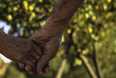 Cropped image of couple with holding hands against trees