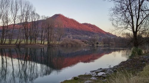 Scenic view of lake by trees against sky