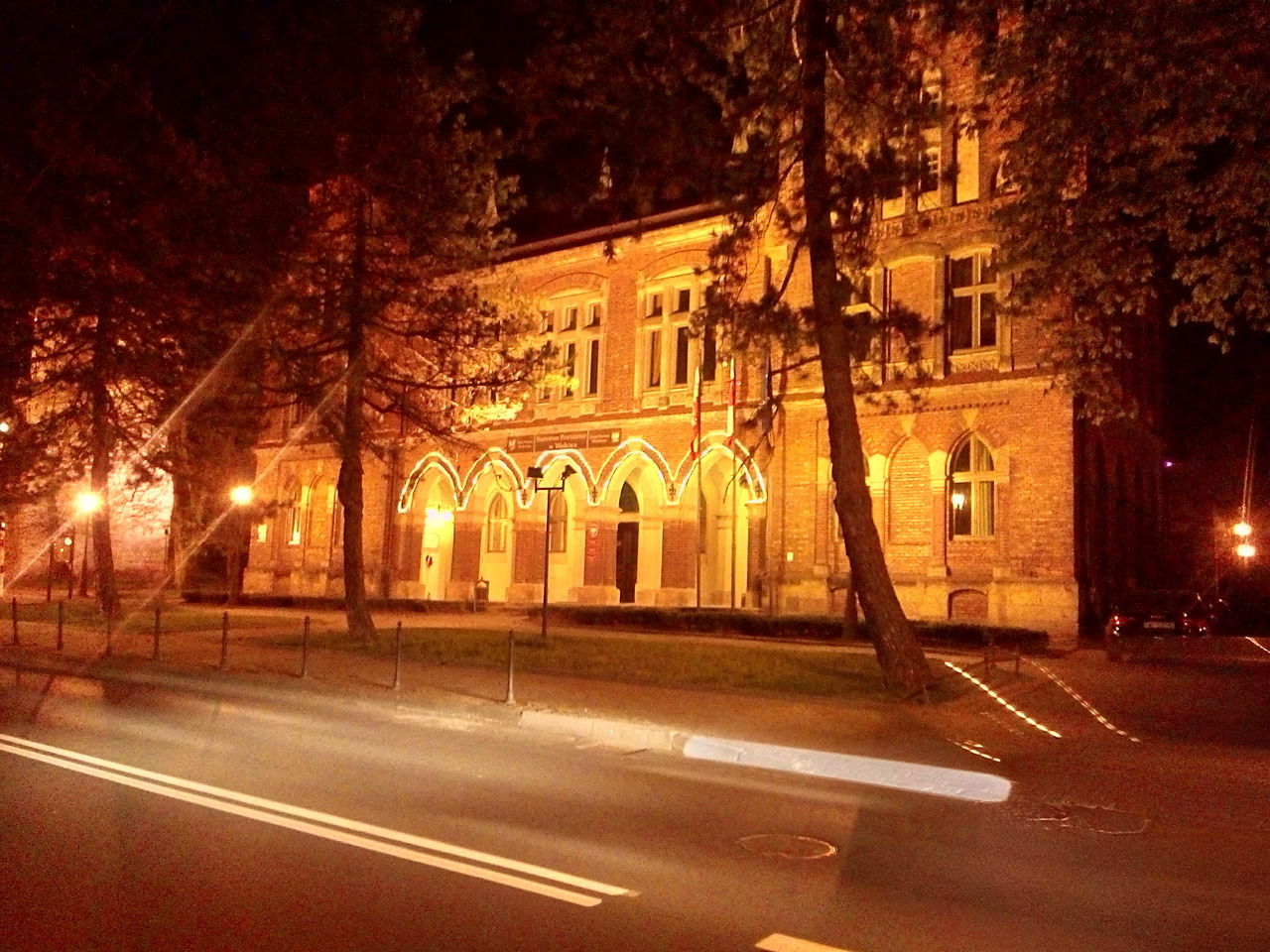 tree, road, transportation, night, city, architecture, building exterior, built structure, outdoors, no people, illuminated, motion, nature