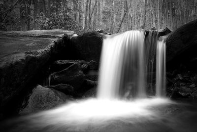 Scenic view of waterfall in forest