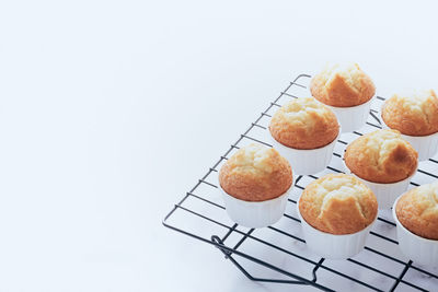 Cooling rack with muffins. copy space on white background