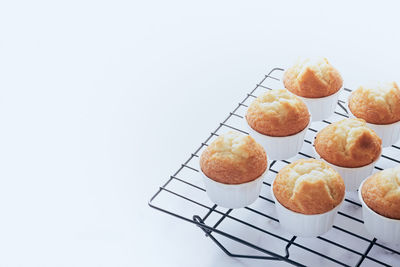 High angle view of fruits against white background