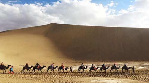 Panoramic view of people riding horses on sand