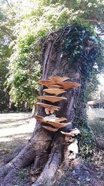 Wooden sculpture amidst trees in forest