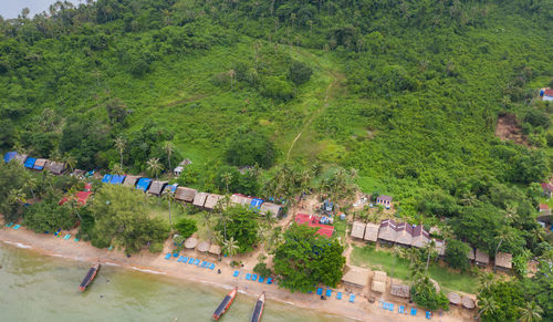 High angle view of trees and houses in village