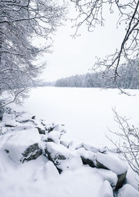 Scenic view of frozen lake against snow covered trees