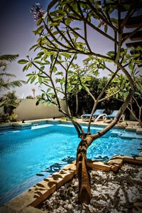 Scenic view of sea against blue sky