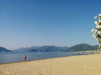 Scenic view of beach against clear blue sky