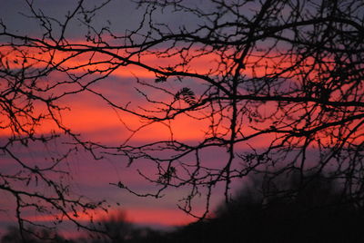 Silhouette bare trees against sky during sunset