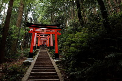 View of steps in forest