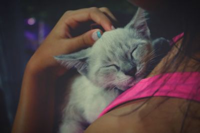 Close-up of cat with hand