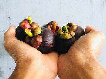 Close-up of hand holding apple