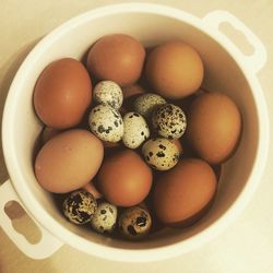 High angle view of eggs in container