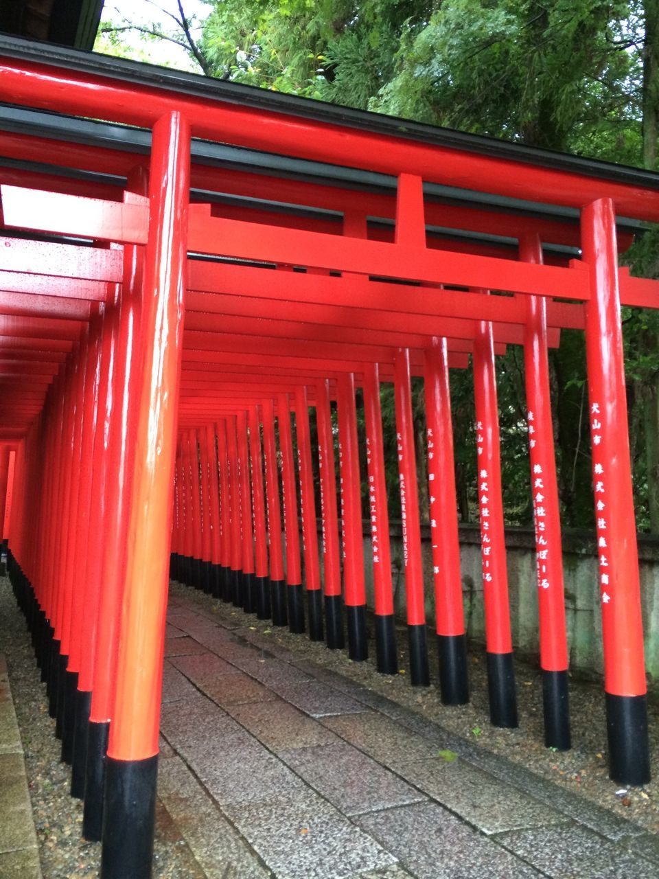 red, railing, built structure, in a row, architecture, tree, the way forward, empty, day, steps, gate, footpath, outdoors, absence, no people, protection, architectural column, sunlight, walkway, building exterior