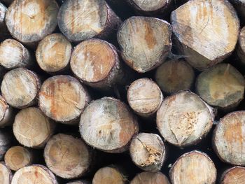 Full frame shot of logs