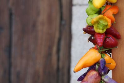 Close-up of multi colored flower buds