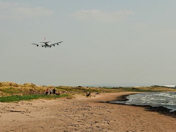 Airplane flying over beach against sky