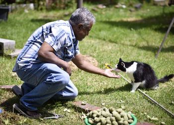 Man feeding cat on land