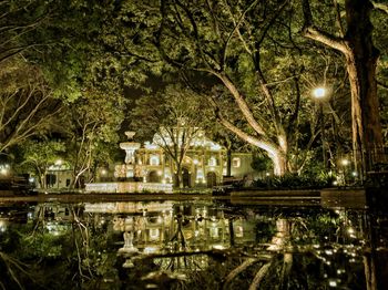 Reflection of trees in water at night