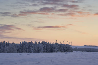 Scenic view of field against sky during sunset