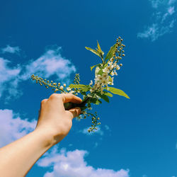 Low angle view of hand holding plant against blue sky