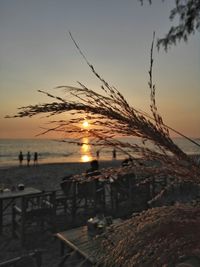 Scenic view of sea at sunset