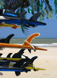 Close-up side view of cropped boats on shore