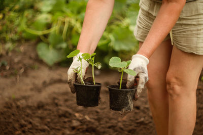 gardening