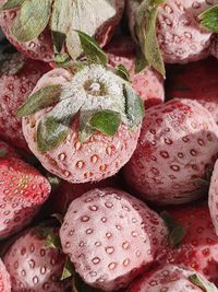 High angle view of fruits in market