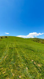 environment