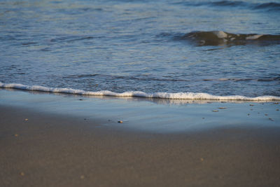 Scenic view of beach