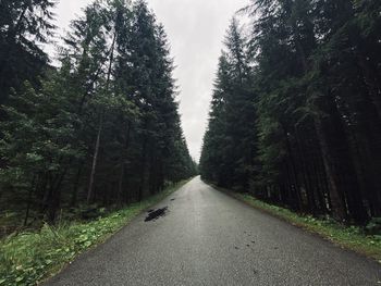 Road amidst trees in forest against sky